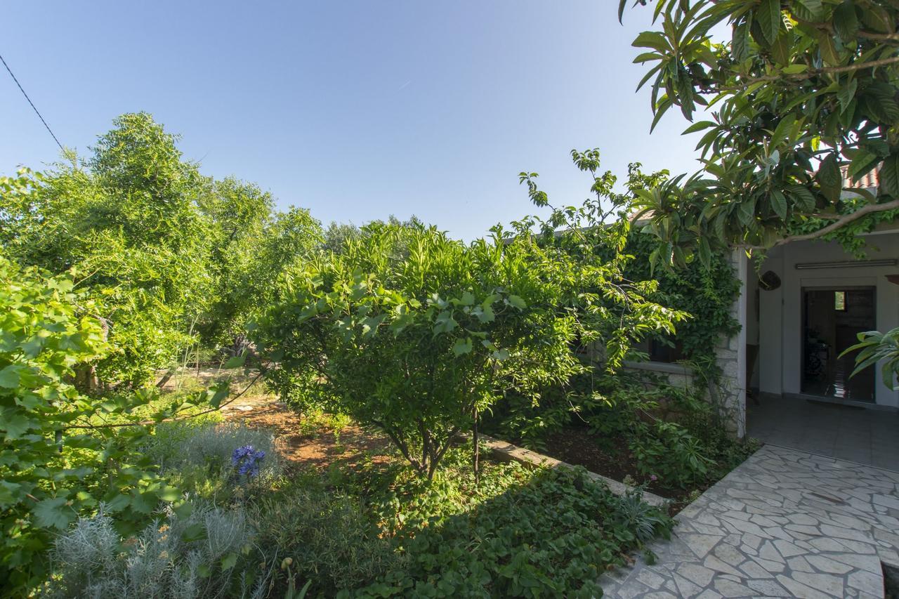Apartment Alda Murter Dış mekan fotoğraf